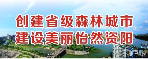 爆乳操逼视频创建省级森林城市 建设美丽怡然资阳